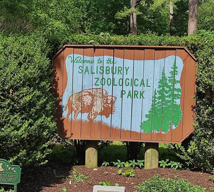 Salisbury Zoological Park (Salisbury,&nbspMD)